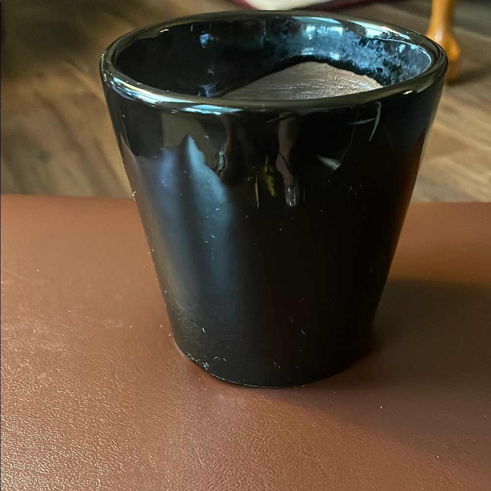 Elegant Black Flower Pot